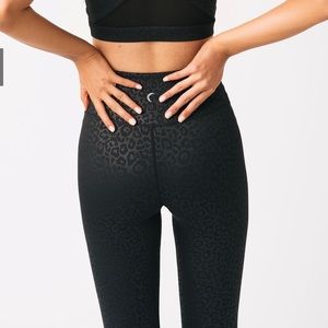 🖤 Black 🐆 LEOPARD LightnTights